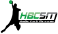 logo du club d'handball HBCSM